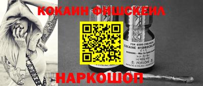 гашик Новозыбков