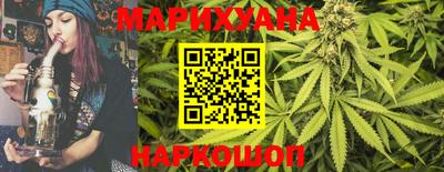 гашик Новозыбков