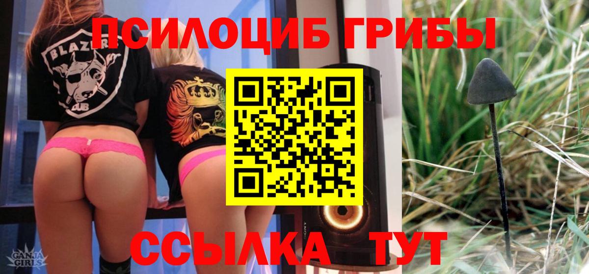 Свободный  Галлюциногенные грибы ЛСД  Вход с VPN 